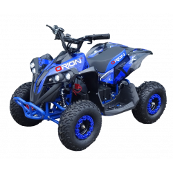 Quad RENEGADE 1000W 48V BLEU
