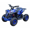 Quad RENEGADE 1000W 48V BLEU