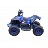 Quad RENEGADE 1000W 48V BLEU